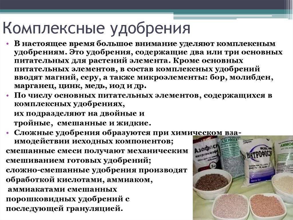 Виды удобрений, нормы внесения и способы применения. — мой садочек