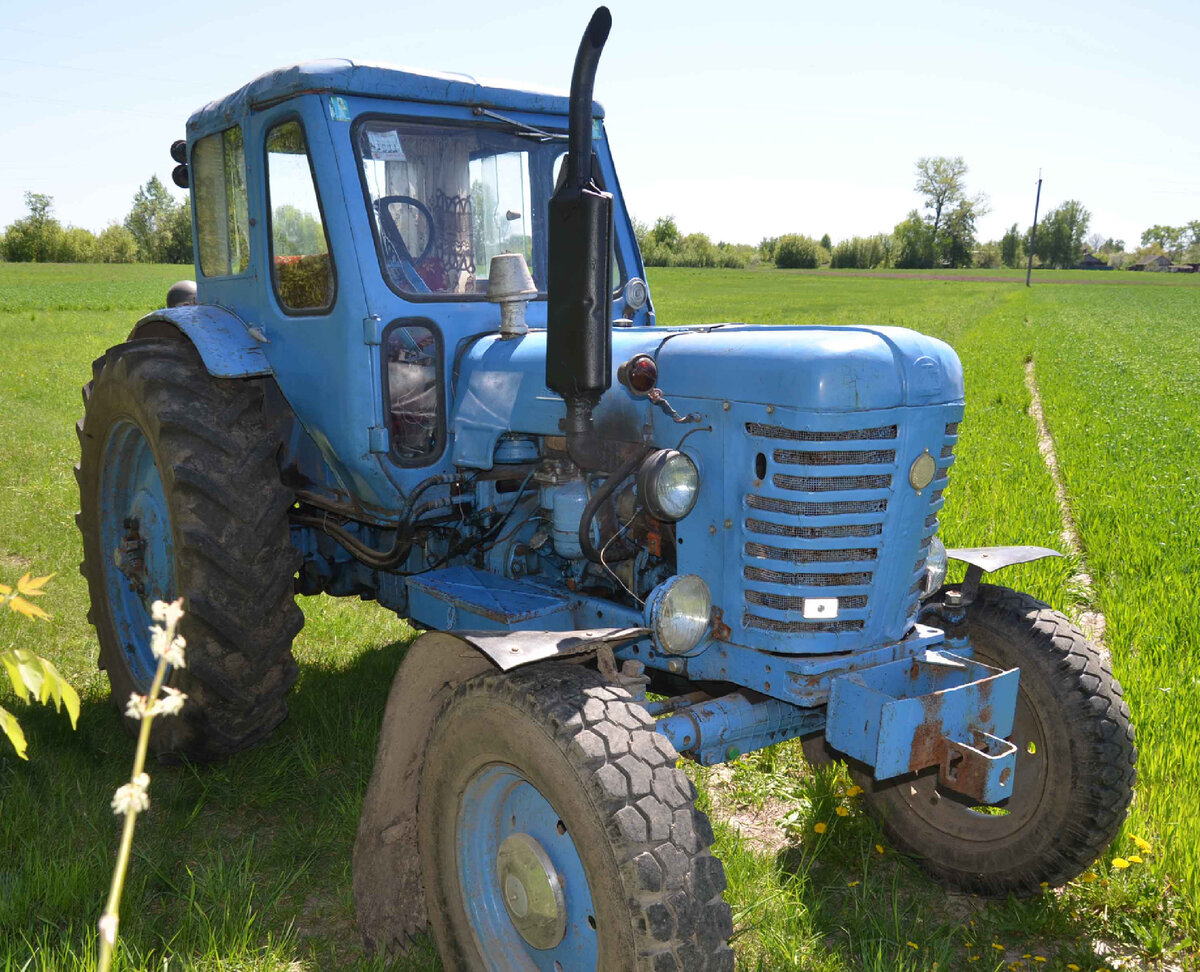 Обозрение трактора мтз 50 | подробно о тракторах и сельскохозяйственной технике