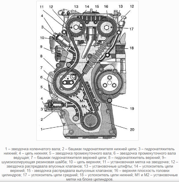 Установка и ремонт двигателя змз-406: отличия инжектора от карбюратора