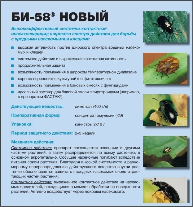 ✅ препарат би 58 инструкция по применению отзывы. би 58 2х5 мл - инсектицид против вредителей на растениях - cvetochki-ulyanovsk.ru