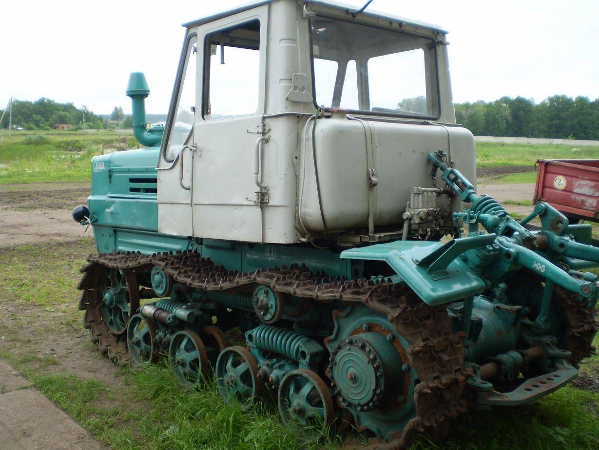 Palmo t150