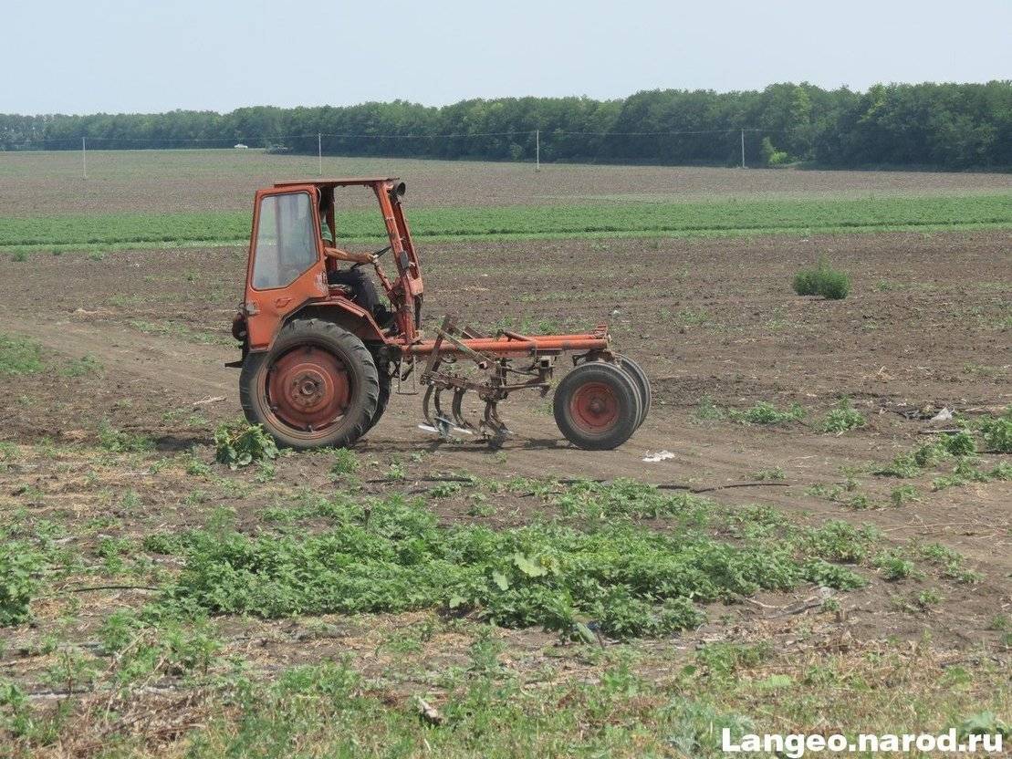 Трактор т-16: простота и надёжность | фермер знает |